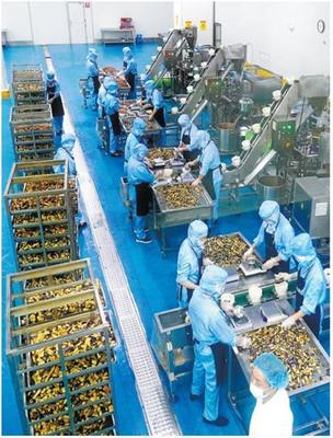 蔬菜產業鏈全鏈條優化 提升食品生產競爭力的關鍵路徑