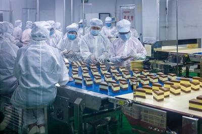 “世界廚房”福建龍海 食品生產加工忙 賦能全球餐桌