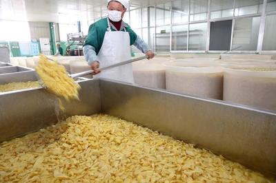 江蘇如皋 小蘿卜深加工促增收，食品生產助力鄉村振興