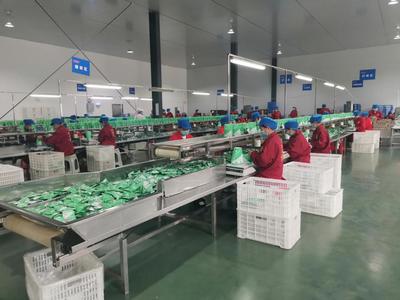 長沙 將食品安全視為企業的生命線，筑牢食品生產根基